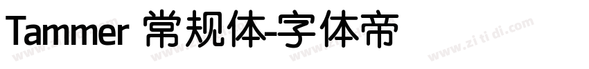 Tammer 常规体字体转换